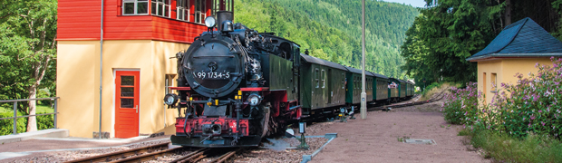 Inhaltsbild Weisseritztalbahn am Bahnhof Kipsdorf